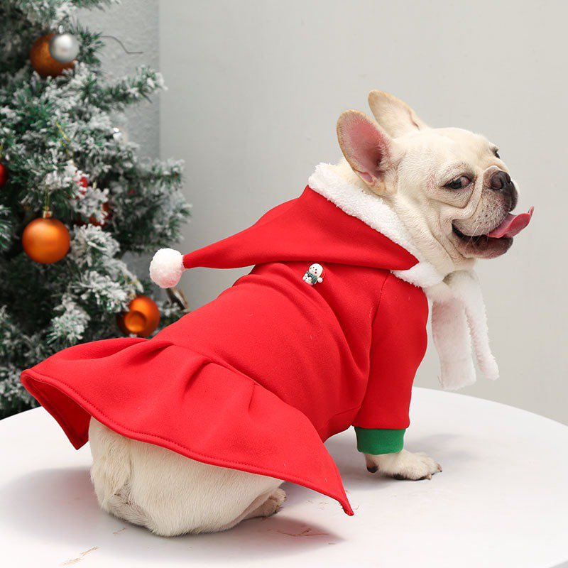 Festive Christmas Dog Hoodie Outfit