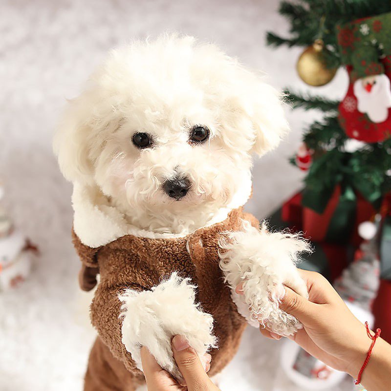 Cozy Christmas Teddy Dog Hoodie