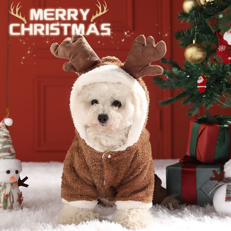 Cozy Christmas Teddy Dog Hoodie