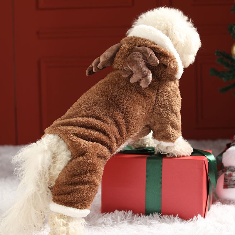 Cozy Christmas Teddy Dog Hoodie