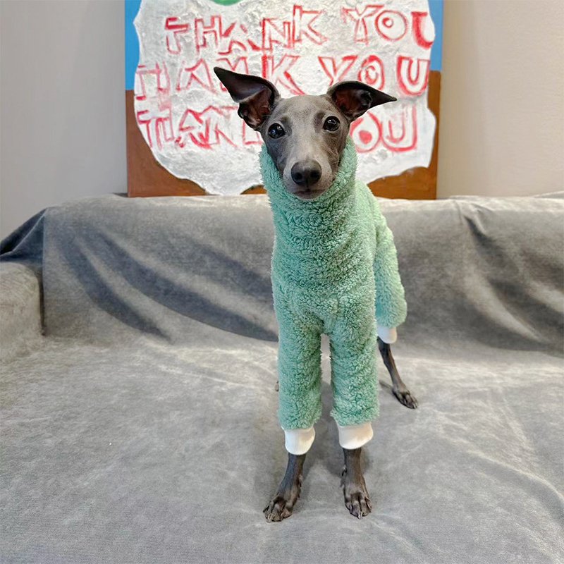 Double Fleece Italian Greyhound Onesie