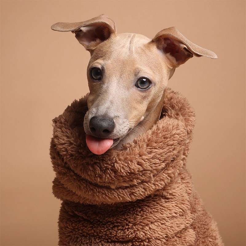 Winter Double Fleece Italian Greyhound Onesie