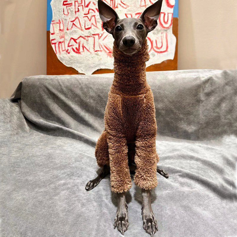 Warm Double Fleece Italian Greyhound Dog Onesie
