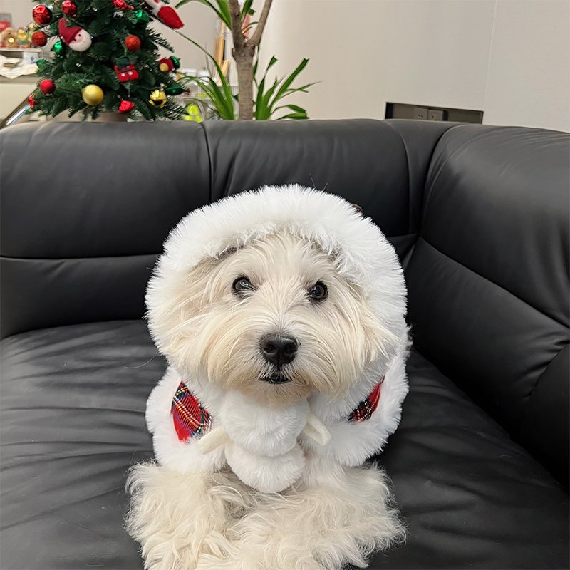 Luxurious Tartan Dog Christmas Coat