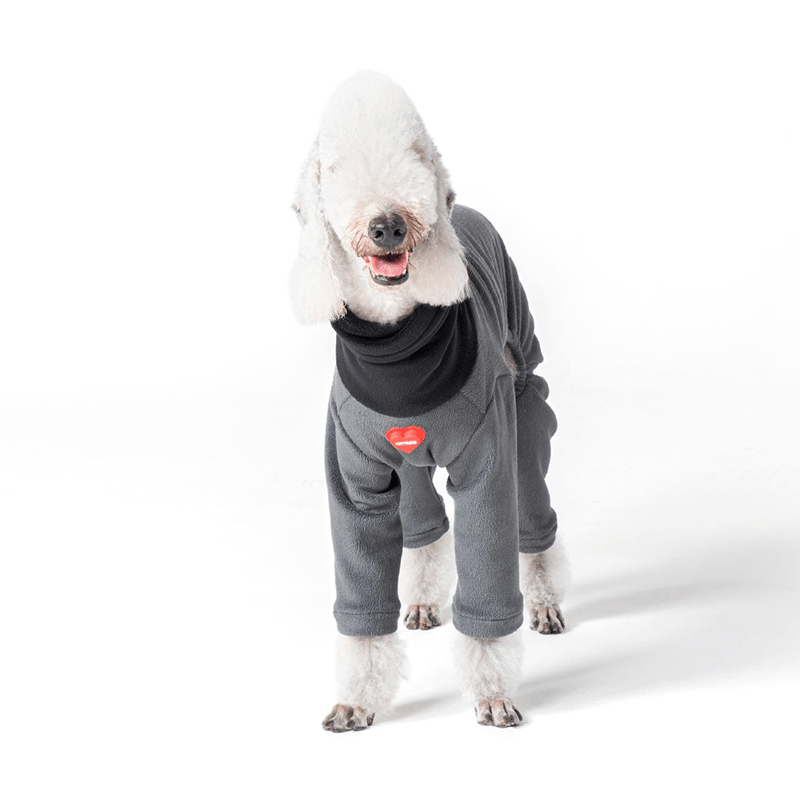 Warm Italian Dog Cotton Onesie