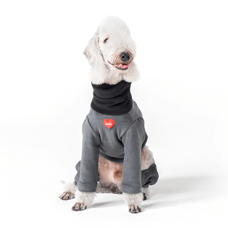 Warm Italian Dog Cotton Onesie