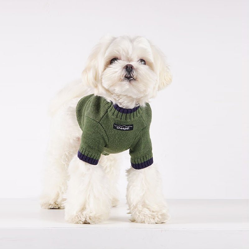 Warm Soft Dog Knitted Sweater