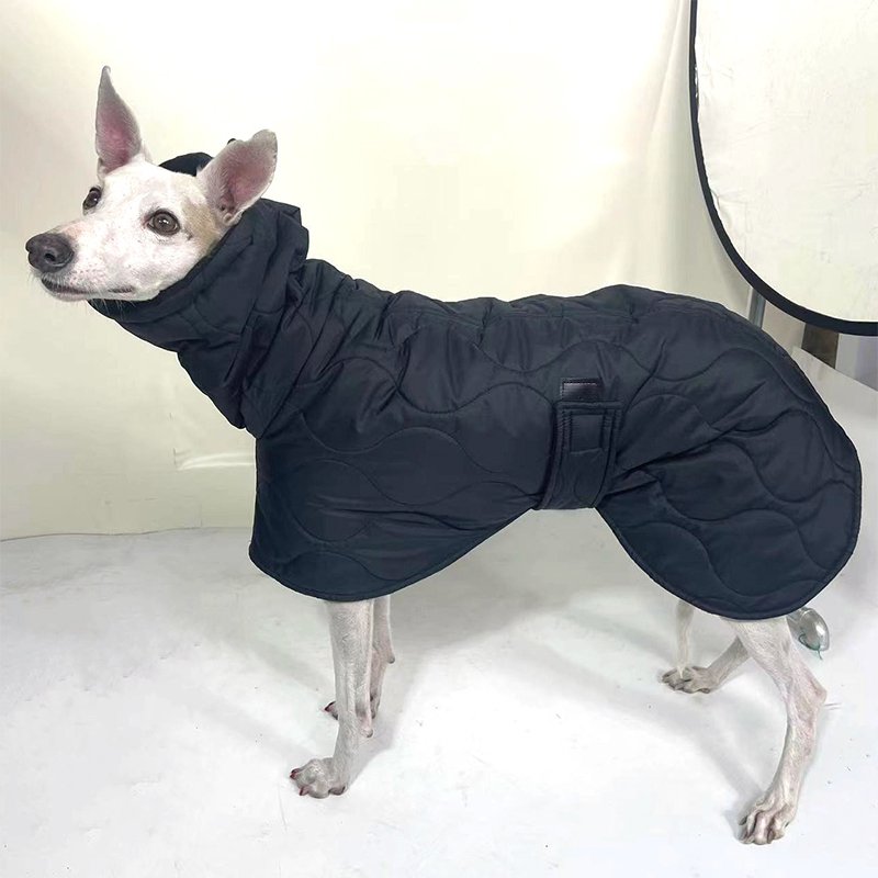 Warm Italian Greyhound Padded Coat