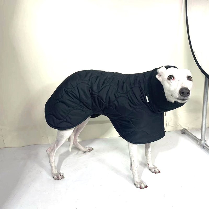 Warm Italian Greyhound Padded Coat