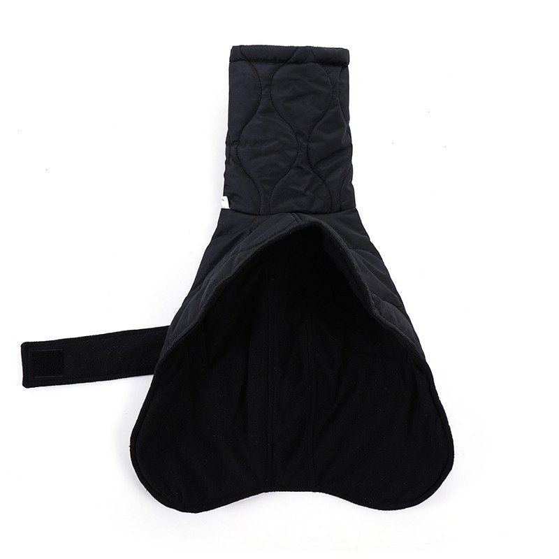 Warm Italian Greyhound Padded Coat