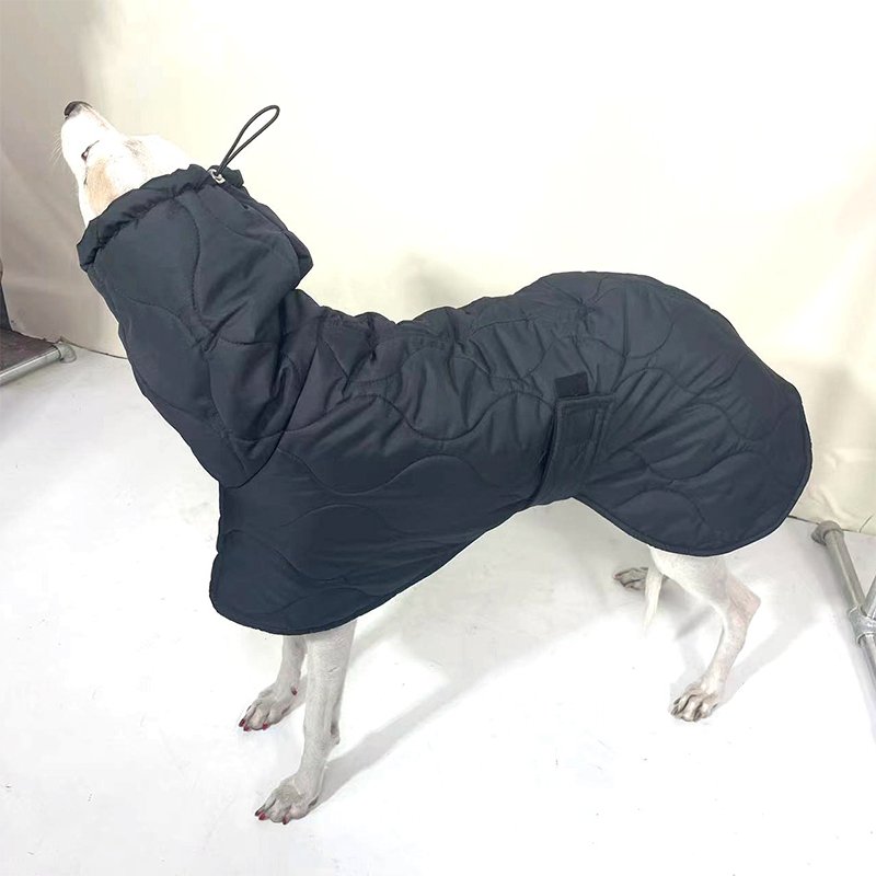 Warm Italian Greyhound Padded Coat