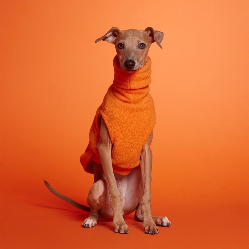 Warm Polar Fleece Italian Greyhound Shirt