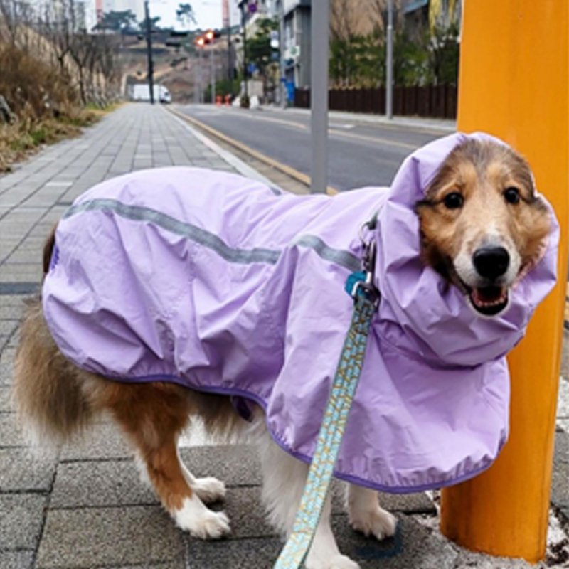 Waterproof Dog Raincoat Outdoor Jacket