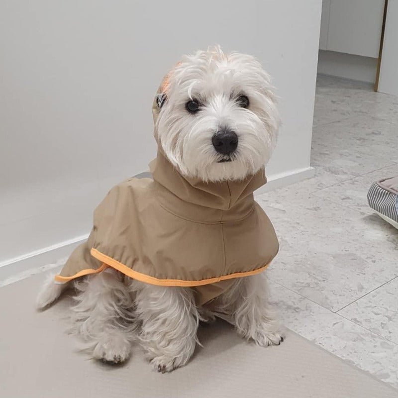 Waterproof Dog Raincoat Outdoor Jacket
