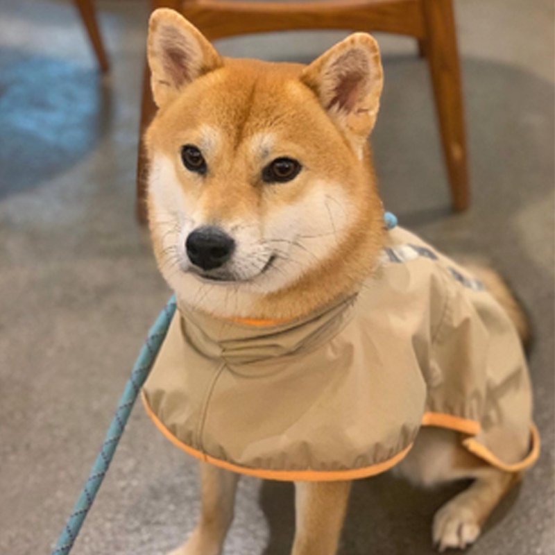 Waterproof Dog Raincoat Outdoor Jacket