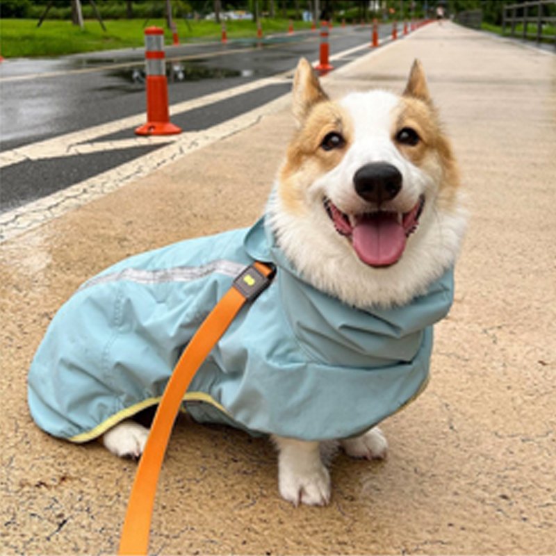 Waterproof Dog Raincoat Outdoor Jacket
