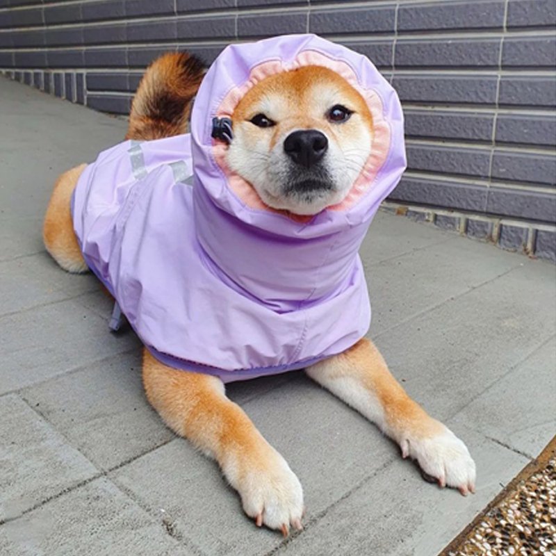 Waterproof Dog Raincoat Outdoor Jacket