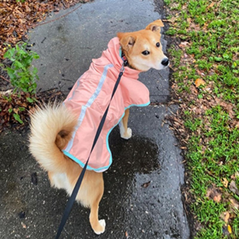 Waterproof Dog Raincoat Outdoor Jacket