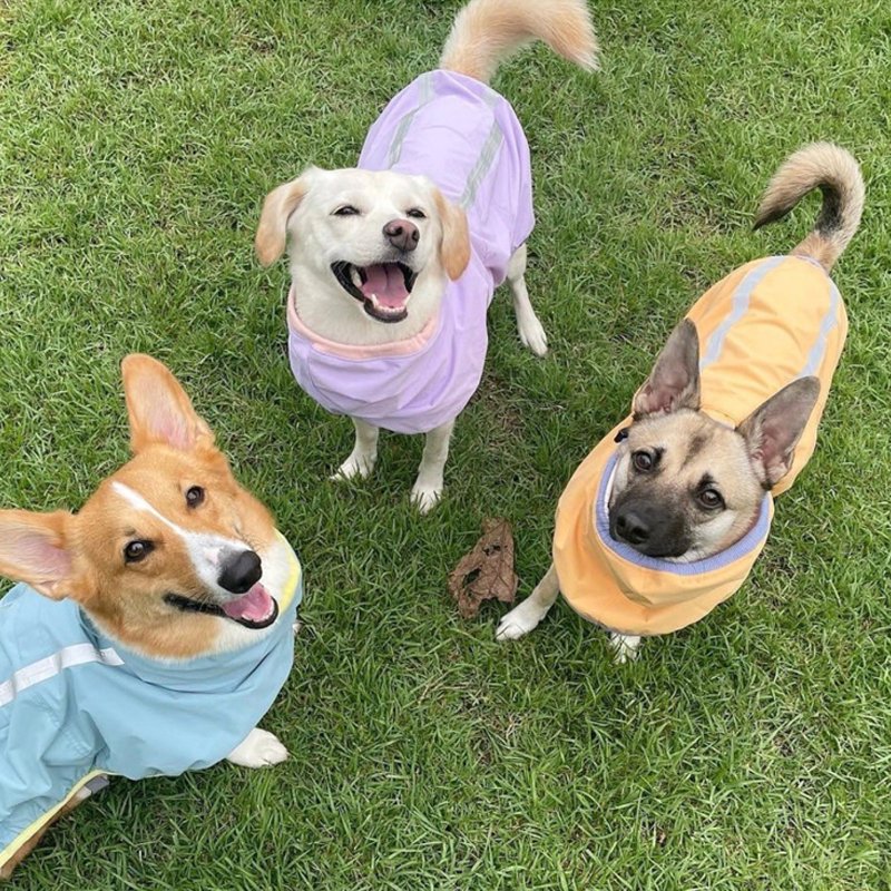 Waterproof Dog Raincoat Outdoor Jacket