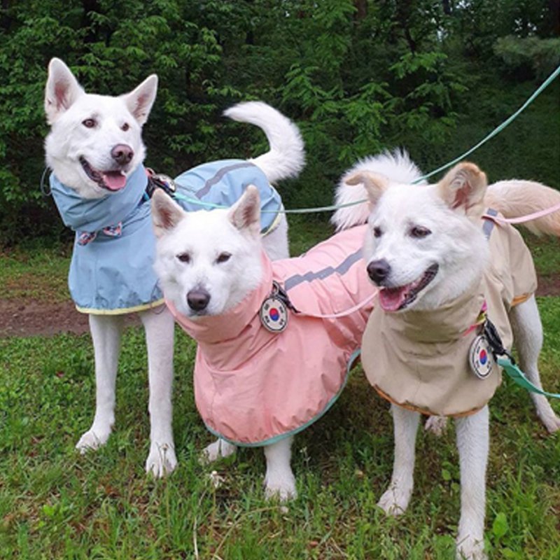 Waterproof Dog Raincoat Outdoor Jacket