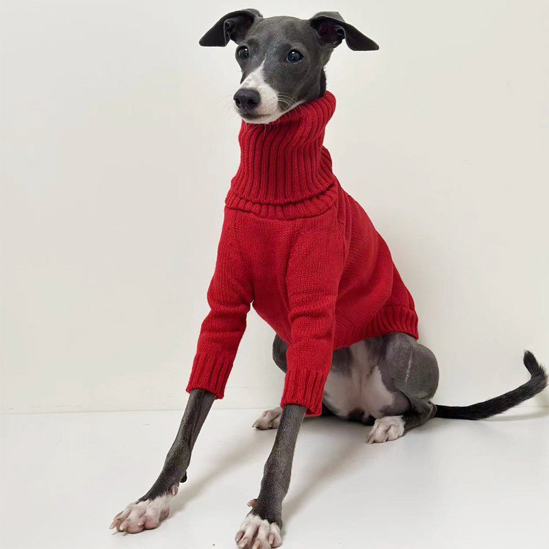 Warm Turtleneck Italian Greyhound Sweater