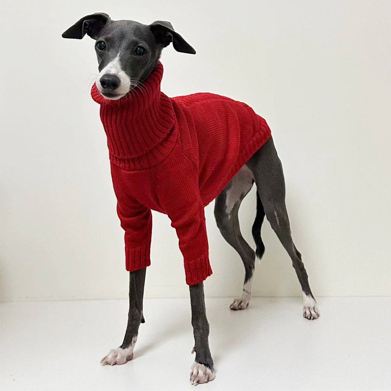 Warm Turtleneck Italian Greyhound Sweater