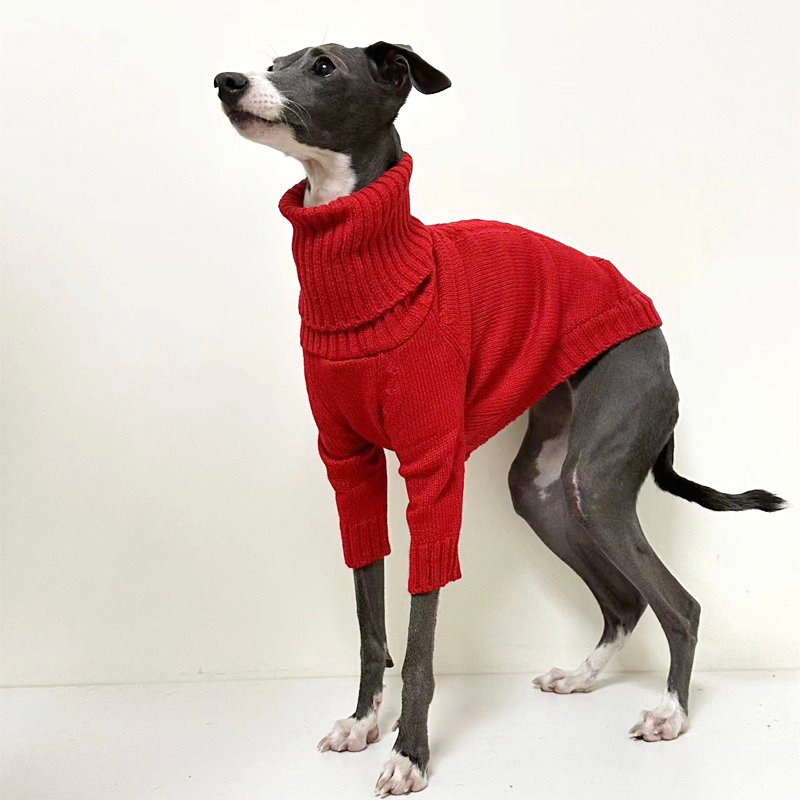 Warm Turtleneck Italian Greyhound Sweater