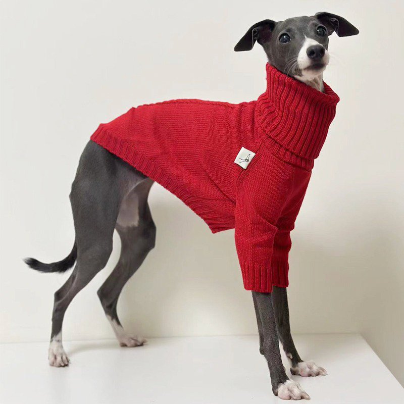 Warm Turtleneck Italian Greyhound Sweater