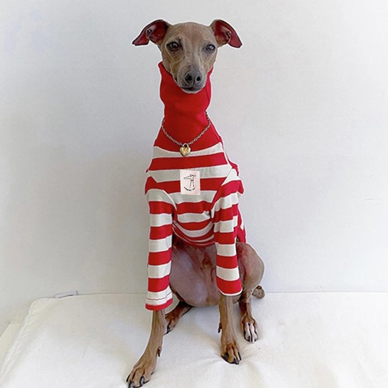 Warm Striped Italian Greyhound Dog Shirt