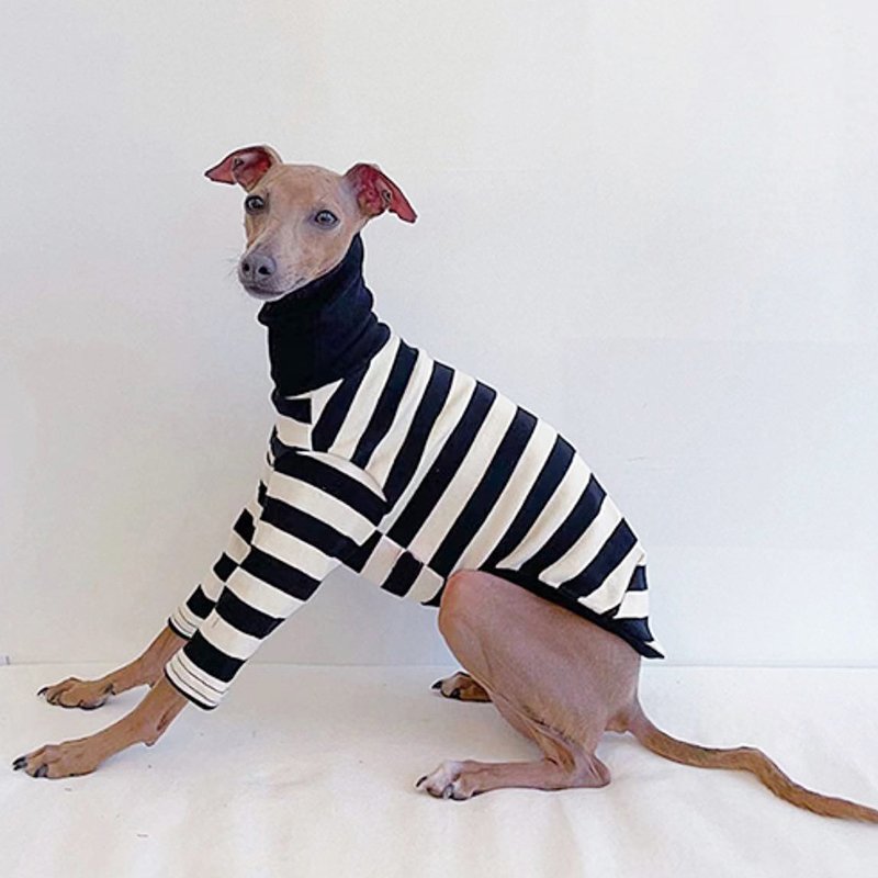 Warm Striped Italian Greyhound Dog Shirt