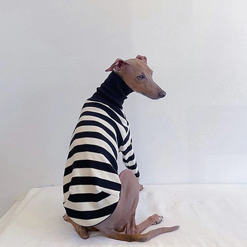 Warm Striped Italian Greyhound Dog Shirt
