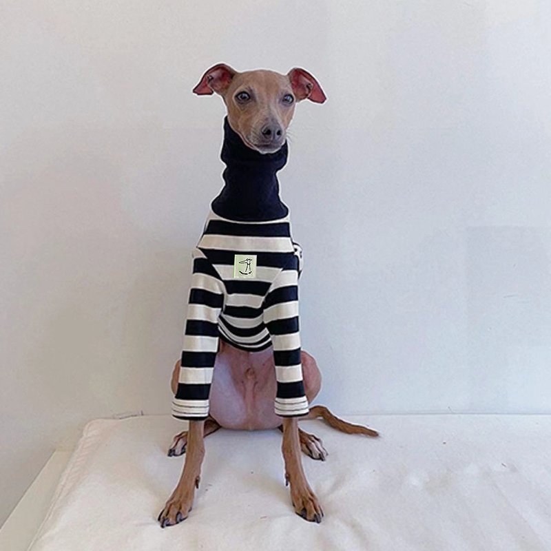 Warm Striped Italian Greyhound Dog Shirt