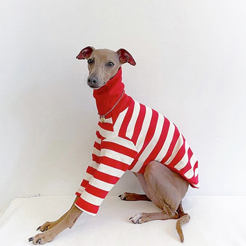 Warm Striped Italian Greyhound Dog Shirt