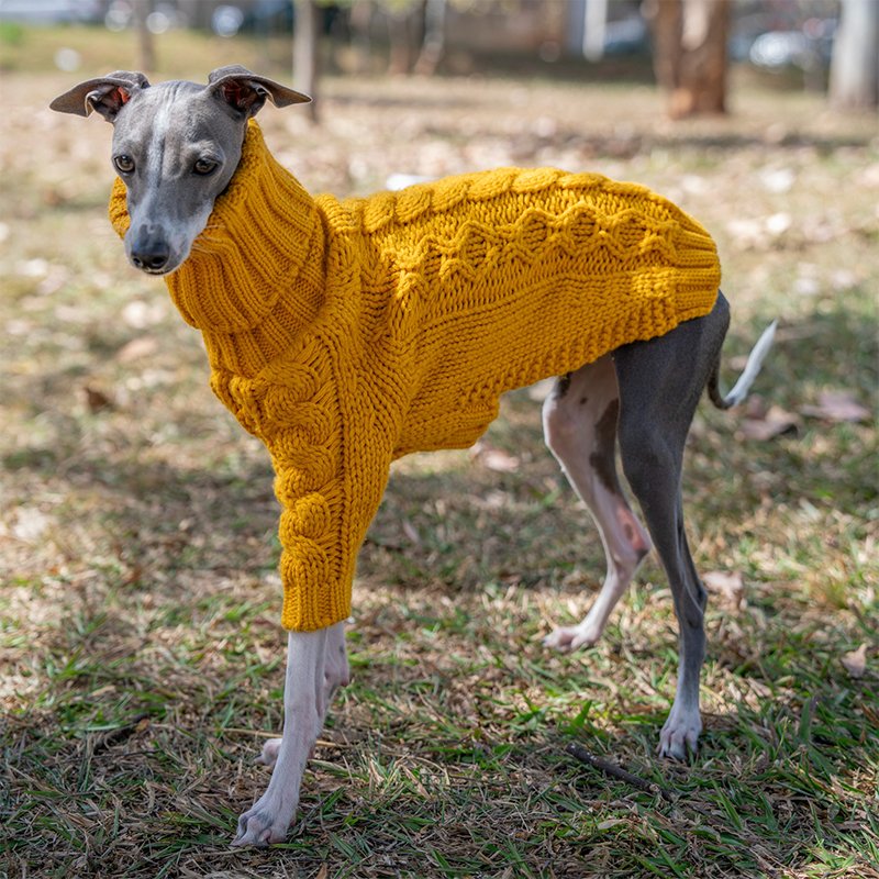 Warm Italian Greyhound Dog Sweater