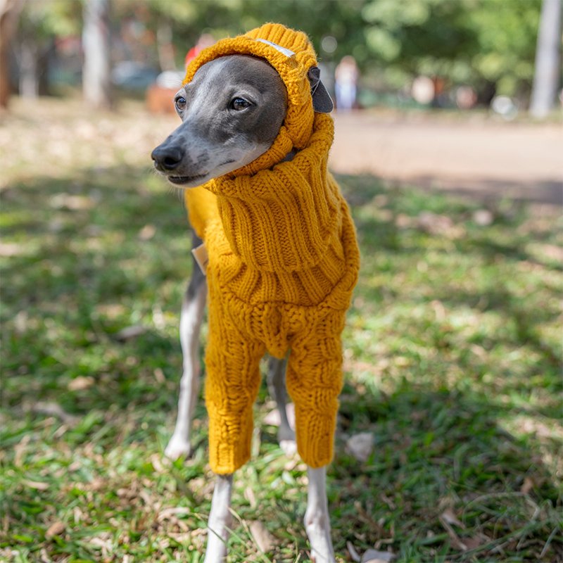 Warm Italian Greyhound Dog Sweater