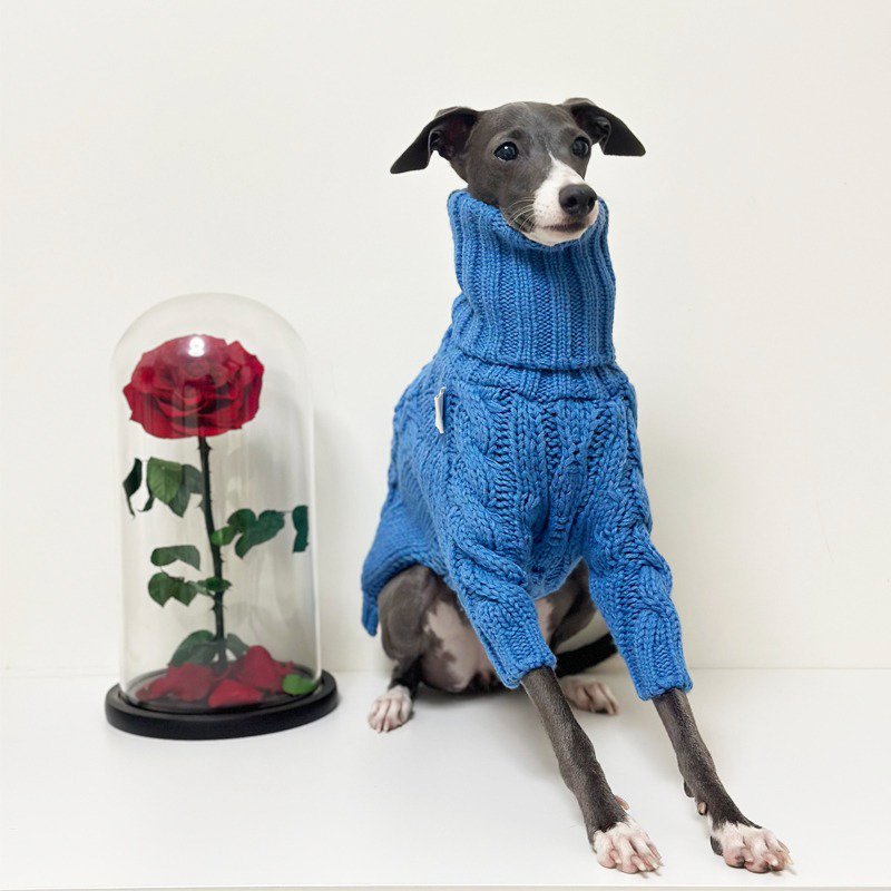 Winter Warm Italian Greyhound Sweater