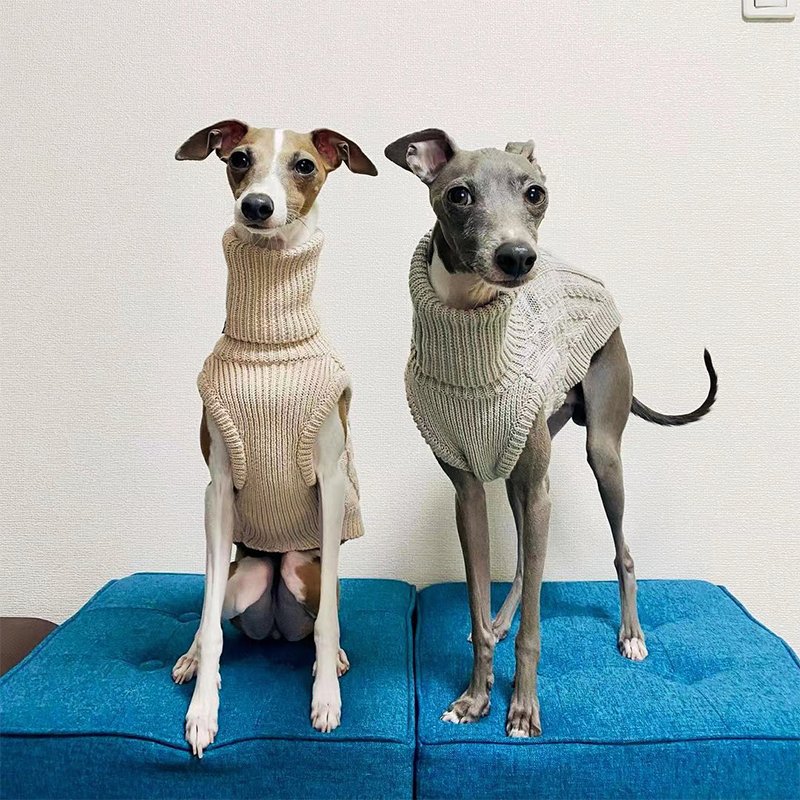 Soft Knit Italian Greyhound Dog Sweater