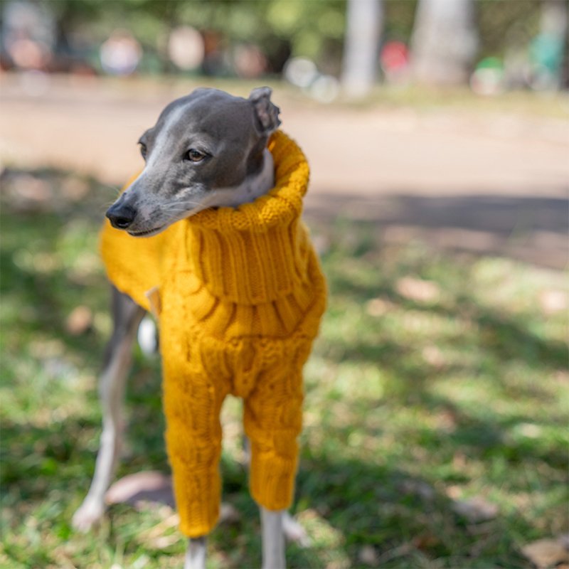 Warm Italian Greyhound Dog Sweater
