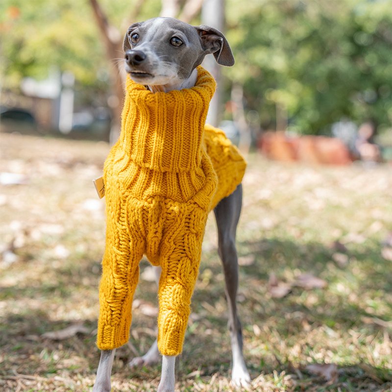 Warm Italian Greyhound Dog Sweater