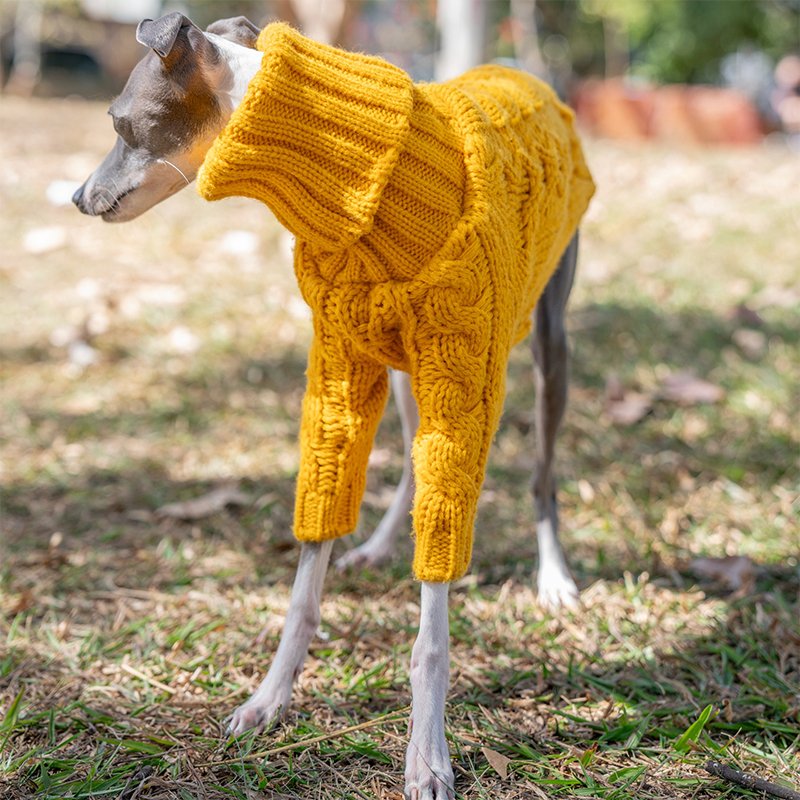 Warm Italian Greyhound Dog Sweater