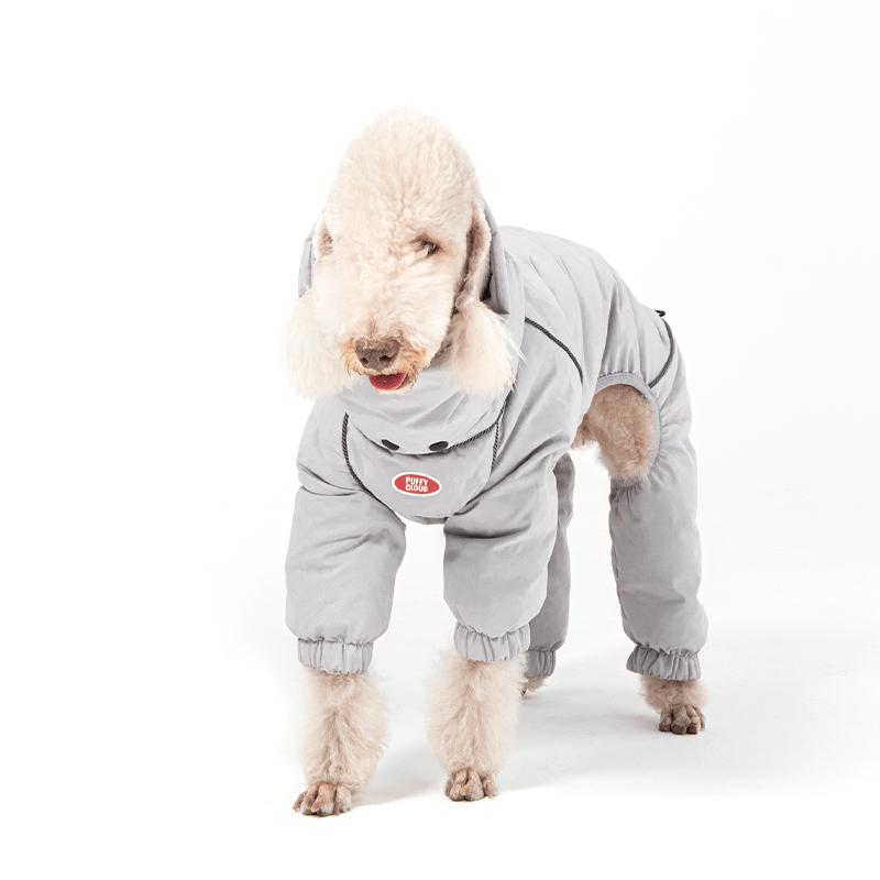 Warm Bedlington Terrier Down Dog Jacket