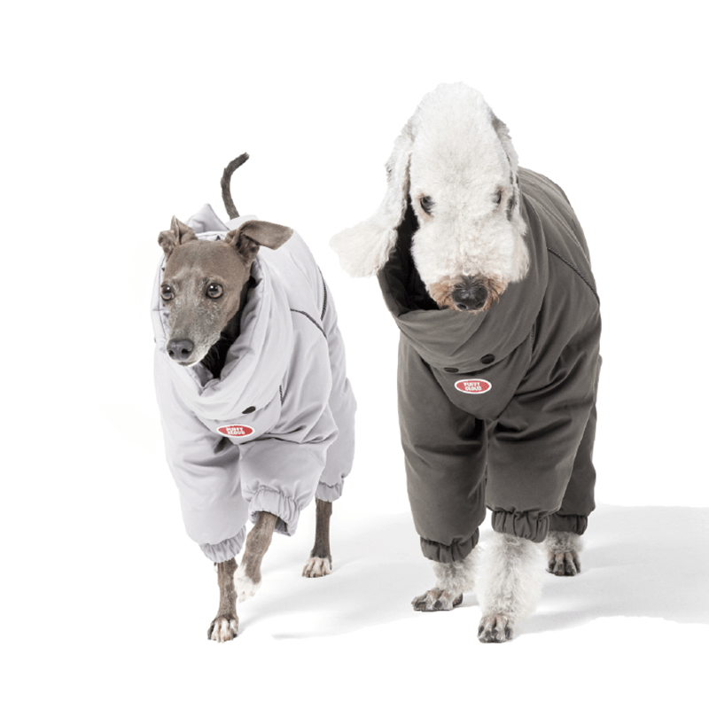 Warm Bedlington Terrier Down Dog Jacket