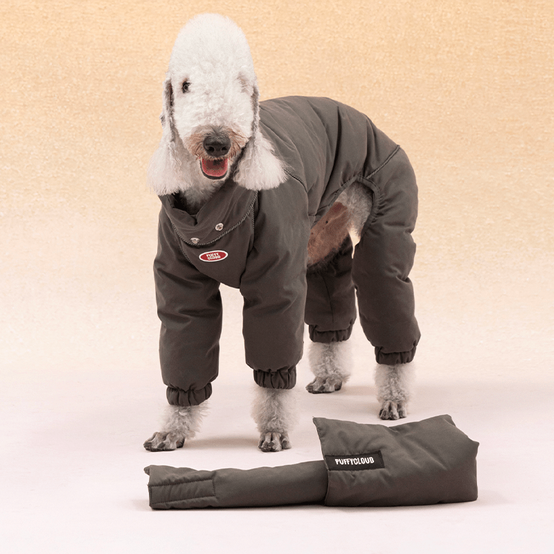 Warm Bedlington Terrier Down Dog Jacket