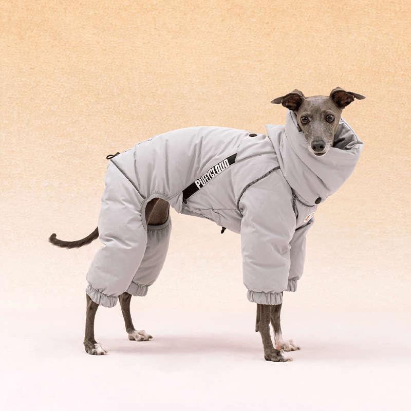 Warm Down Padded Dog Coat