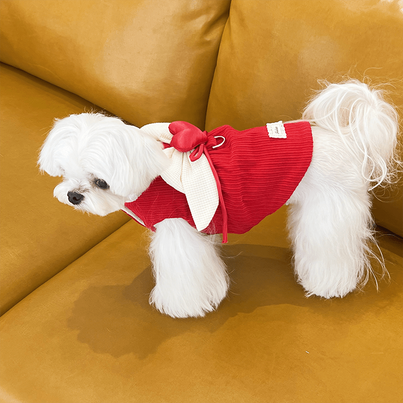 Elegant Floral Dog Formal Dress