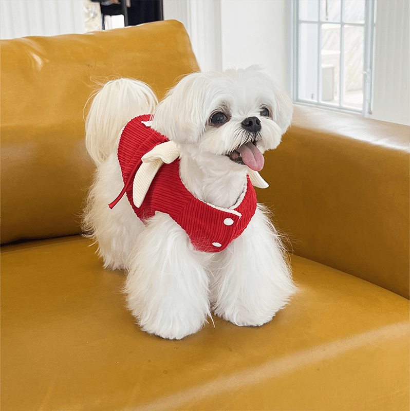 Elegant Floral Dog Formal Dress