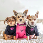 Luxurious Dog Rhinestone Collar