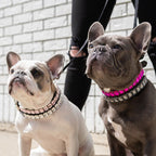 Luxurious Dog Rhinestone Collar