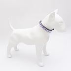 Luxurious Dog Rhinestone Collar