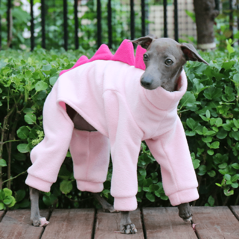Winter Fleece Italian Greyhound Dog Onesies